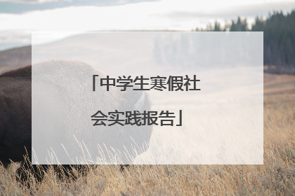中学生寒假社会实践报告