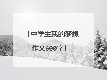 中学生我的梦想作文600字