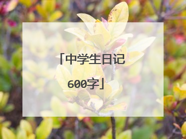 中学生日记600字