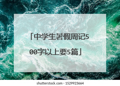 中学生暑假周记500字以上要5篇