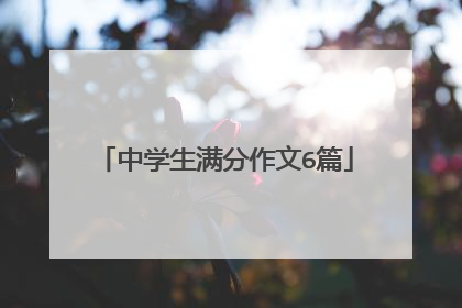 中学生满分作文6篇