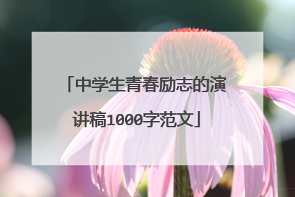 中学生青春励志的演讲稿1000字范文