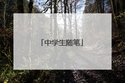 中学生随笔
