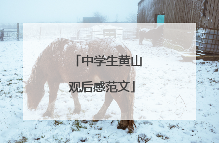 中学生黄山观后感范文