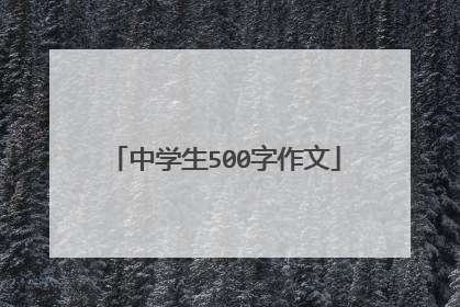 中学生500字作文