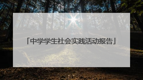 中学学生社会实践活动报告