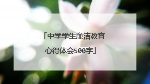 中学学生廉洁教育心得体会500字