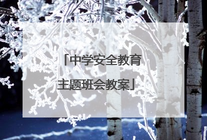 中学安全教育主题班会教案
