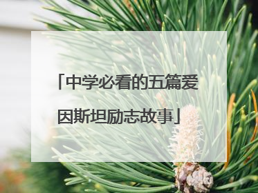 中学必看的五篇爱因斯坦励志故事