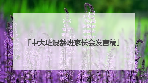 中大班混龄班家长会发言稿