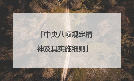 中央八项规定精神及其实施细则