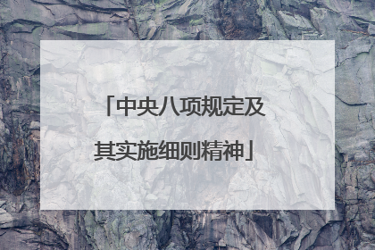 中央八项规定及其实施细则精神