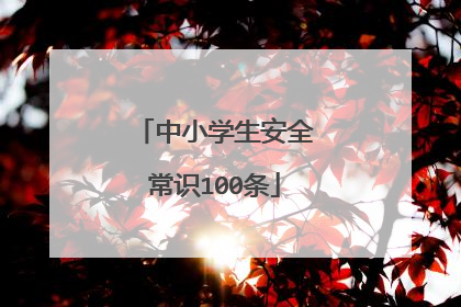 中小学生安全常识100条