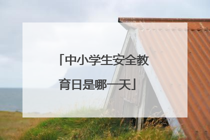 中小学生安全教育日是哪一天