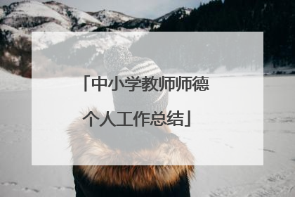 中小学教师师德个人工作总结