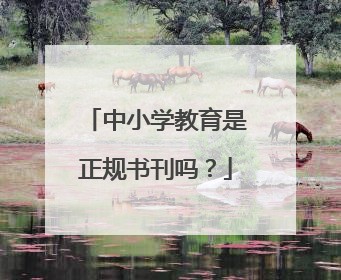 中小学教育是正规书刊吗？