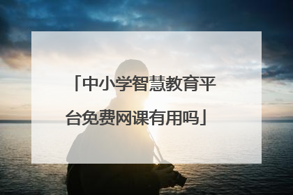 中小学智慧教育平台免费网课有用吗