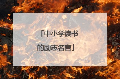 中小学读书的励志名言