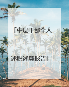 中层干部个人述职述廉报告