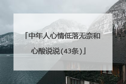 中年人心情低落无奈和心酸说说(43条)