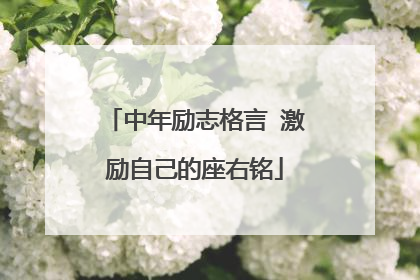 中年励志格言 激励自己的座右铭