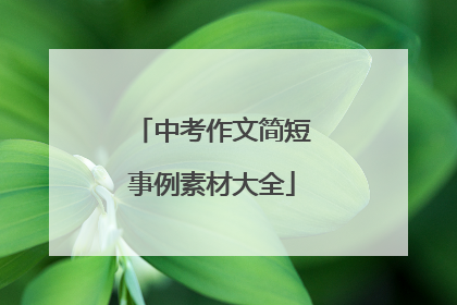 中考作文简短事例素材大全