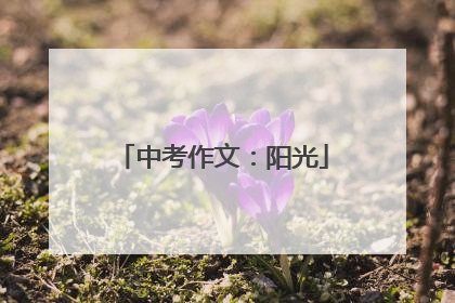 中考作文：阳光