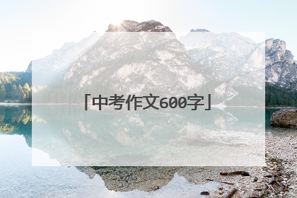 中考作文600字
