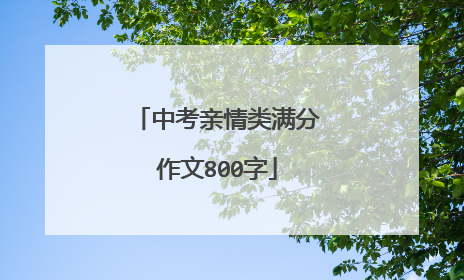 中考亲情类满分作文800字