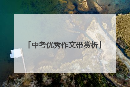 中考优秀作文带赏析