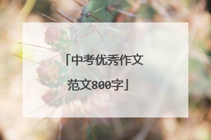 中考优秀作文范文800字