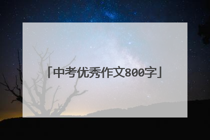中考优秀作文800字