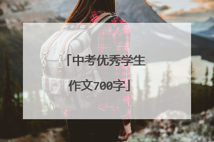 中考优秀学生作文700字