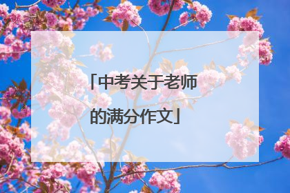 中考关于老师的满分作文