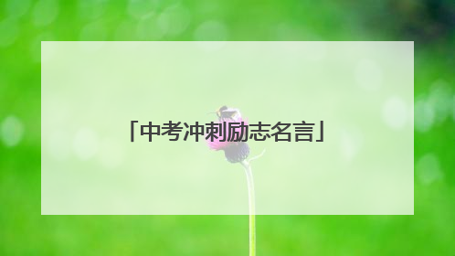 中考冲刺励志名言