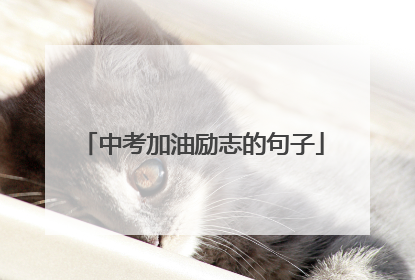 中考加油励志的句子