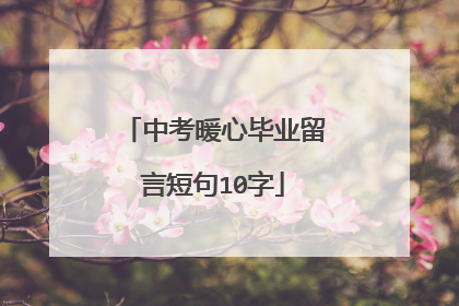 中考暖心毕业留言短句10字