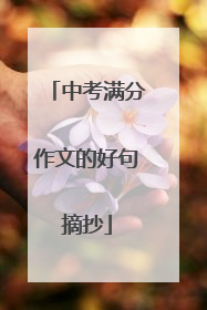 中考满分作文的好句摘抄