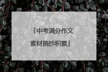 中考满分作文素材摘抄积累