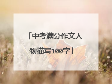 中考满分作文人物描写100字