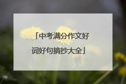 中考满分作文好词好句摘抄大全
