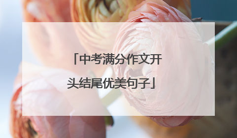 中考满分作文开头结尾优美句子
