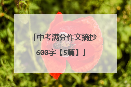 中考满分作文摘抄600字【5篇】