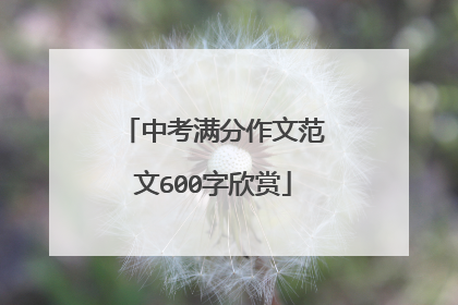 中考满分作文范文600字欣赏