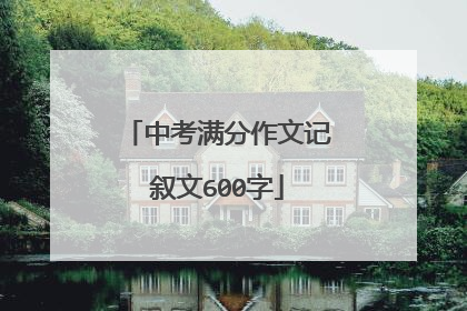 中考满分作文记叙文600字