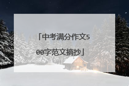 中考满分作文500字范文摘抄