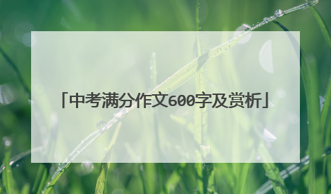 中考满分作文600字及赏析