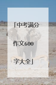 中考满分作文600字大全