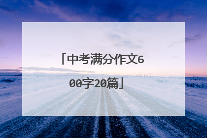 中考满分作文600字20篇