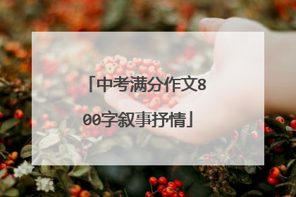 中考满分作文800字叙事抒情